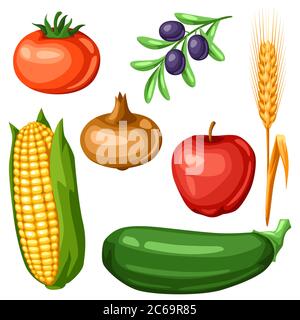 Ensemble de la récolte de fruits et légumes. Illustration de Vecteur