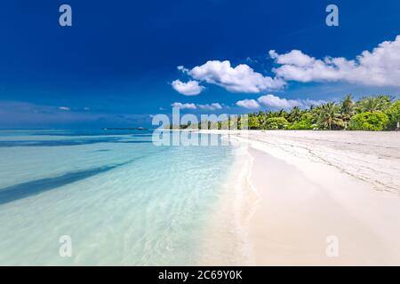 Belle plage avec palmiers sur l'île tropicale plage sur fond bleu ciel avec des nuages blancs et l'océan turquoise le jour ensoleillé. Plage exotique Banque D'Images