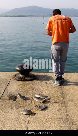 Tôt le matin pêche pour le poisson-gâchette gris Balistes capriscus avec canne et ligne dans la baie de Santander Cantabria Espagne Banque D'Images