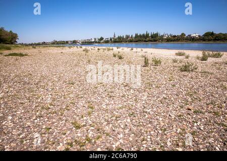 Basse eau du Rhin dans le district de Rodenkirchen-Weiss, 26 juin 2020. Cologne, Allemagne. Niedrigwasser des Rheins am 26.06.2020, Rheinufer a Banque D'Images