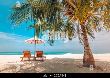 Plage paradisiaque. Une île tropicale parfaite. Magnifiques palmiers et plage tropicale. Ciel bleu et lagon bleu. Voyage de luxe vacances d'été Banque D'Images