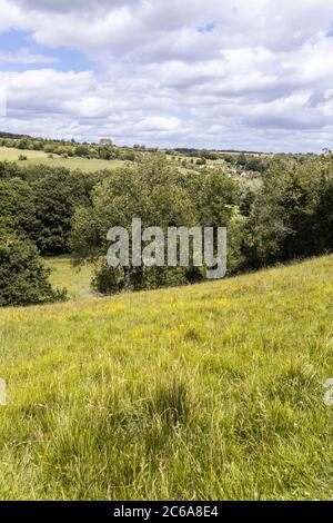 La vallée de la rivière Windrush près du village de Cotswold à Naunton, Gloucestershire, Royaume-Uni Banque D'Images