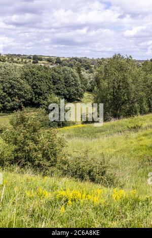 La vallée de la rivière Windrush près du village de Cotswold à Naunton, Gloucestershire, Royaume-Uni Banque D'Images