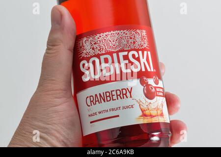 KIEV, UKRAINE - 17 JUIN 2020 : bouteille de vodka Sobieski Cranberry dans la main humaine, gros plan sur fond blanc. Sobieski est la marque polonaise de vodka produ Banque D'Images