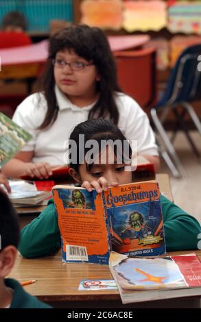 Austin, Texas, États-Unis, novembre 2003 : troisième année lisant un roman mystère à son bureau à St. Ignatius Martyr School, une école catholique paroissiale privée. ©Bob Daemmrich Banque D'Images