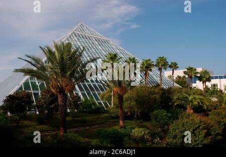 Août 2003 South Texas : pyramide de la forêt tropicale à Moody Gardens, Galveston Texas. Musée d'histoire naturelle. ©Bob Daemmrich Banque D'Images