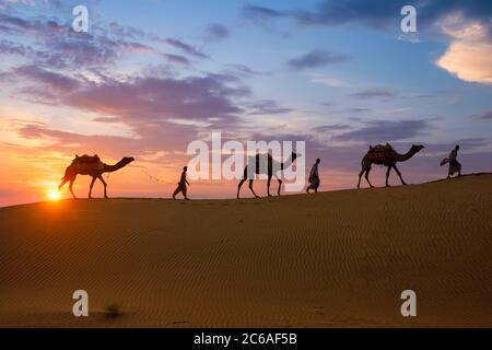 Caméléers indiens chauffeur de chameau avec silhouettes de chameau dans les dunes au coucher du soleil. Jaisalmer, Rajasthan, Inde Banque D'Images