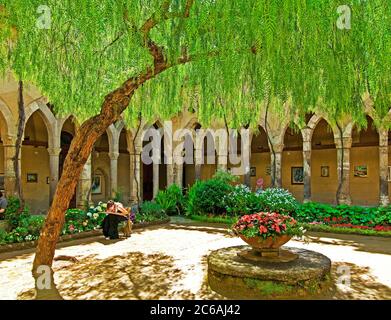 Un Mimosa surplombant le magnifique cloître médiéval du monastère de San Francesco à Sorrente, près de Naples, Italie Banque D'Images