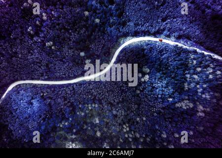 Voiture rouge traversant une forêt surréaliste bleue et violette. Vue de dessus de l'antenne Banque D'Images