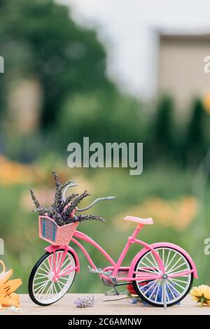 Vélo vintage dans la prairie d'été fait avec des couleurs vintage tons. Effet filtré. Vélo rose vintage avec panier à fleurs. Banque D'Images