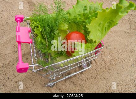 Panier avec légumes-tomates, laitue, aneth sur sable jaune, concept de régime, vue du dessus, lumière du soleil. Banque D'Images