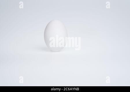 Œuf de canard blanc sur fond blanc Banque D'Images
