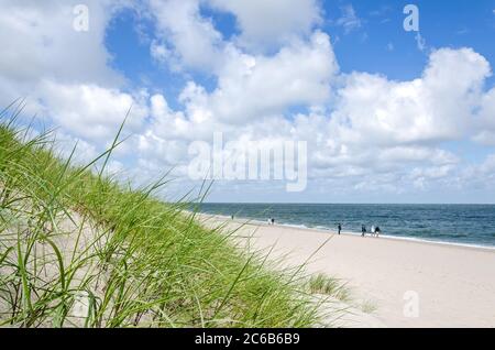 Plage herbe sur une dune près de la plage et de l'océan sur la côte allemande de la mer du Nord Banque D'Images