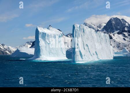 Fjord Drygalski, icebergs flottants, Géorgie du Sud, Géorgie du Sud et îles Sandwich, Antarctique, régions polaires Banque D'Images