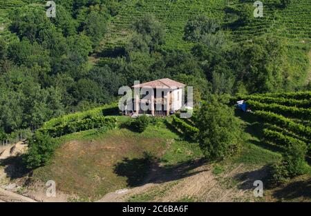 Vue sur les collines des vignobles de Prosecco dans la campagne de Conegliano Banque D'Images