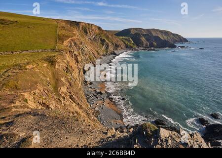 Falaises le long de la côte atlantique du Devon baigné de lumière du soleil en fin d'après-midi, Hartland Quay, nord du Devon, Angleterre, Royaume-Uni, Europe Banque D'Images