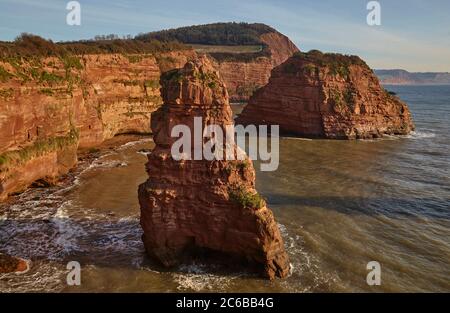 Falaises de grès rouge et rochers à la baie de Ladram, sur la côte jurassique, site classé au patrimoine mondial de l'UNESCO, près de Budgleigh Salterton, East Devon, Angleterre, United K. Banque D'Images