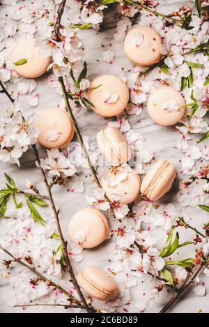 Coulées de biscuits au macaron doux et de fleurs et de branches Banque D'Images