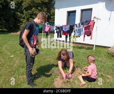 Mère polonaise avec ses fils plantant un pommier dans leur cour avec séchage de lavage sur la ligne. Zawady Gmina Rzeczyca Pologne Banque D'Images