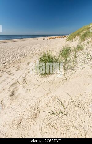 Plan vertical de la plage d'herbe et de sable avec sur l'île de Sylt, Allemagne Banque D'Images