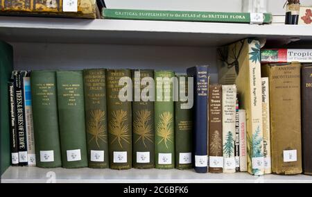 Apprentissage et enseignement botaniques. Plantes, science, tenue de registres, musée, livres de botanique, arbres et arbustes, Hardy dans les îles britanniques, collection de livres Banque D'Images