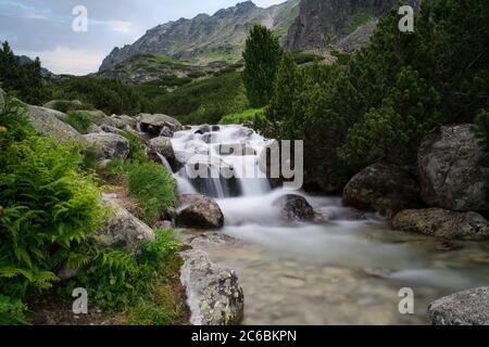 Rivière Mlynica dans la vallée de Mlynicka, haute Tatras, Slovaquie Banque D'Images