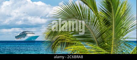 Palmier tropical sur l'île mexicaine. Bateau de croisière en arrière-plan. Mise au point sélective. Banque D'Images