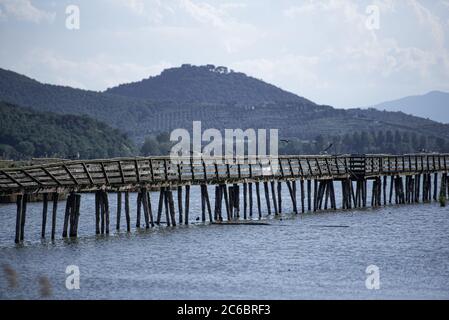 Pont avec des oiseaux sur l'Oasi la Valle, le lac Trasimeno, Torricella Banque D'Images