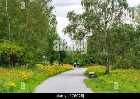 Gleispark FRINTp, ancien dépôt de fret, qui a été transformé en parc paysager après sa fermeture, Essen, NRW, Allemagne Banque D'Images