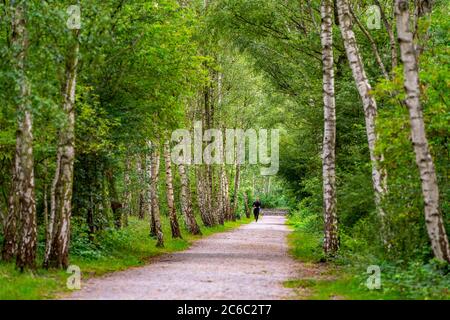 Gleispark FRINTp, ancien dépôt de fret, qui a été transformé en parc paysager après sa fermeture, Essen, NRW, Allemagne Banque D'Images