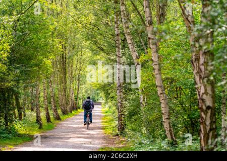 Gleispark FRINTp, ancien dépôt de fret, qui a été transformé en parc paysager après sa fermeture, Essen, NRW, Allemagne Banque D'Images