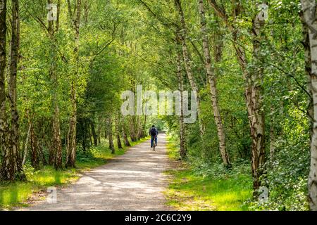 Gleispark FRINTp, ancien dépôt de fret, qui a été transformé en parc paysager après sa fermeture, Essen, NRW, Allemagne Banque D'Images
