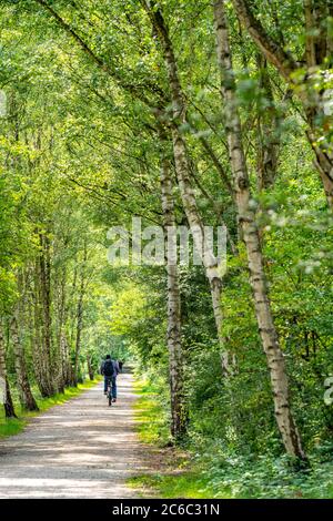 Gleispark FRINTp, ancien dépôt de fret, qui a été transformé en parc paysager après sa fermeture, Essen, NRW, Allemagne Banque D'Images