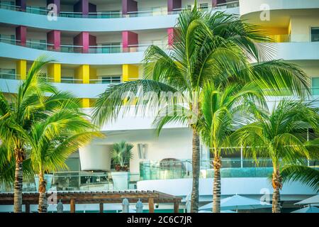 Palmiers devant un complexe tropical Banque D'Images
