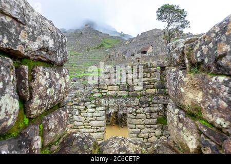 Machu Picchu, un sanctuaire historique péruvien. L'une des sept nouvelles merveilles du monde. Cuzco. Banque D'Images