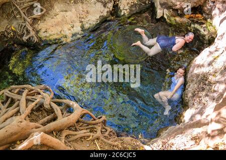 Katherine Hot Springs, dans le territoire du Nord de Katherine, en Australie. Banque D'Images