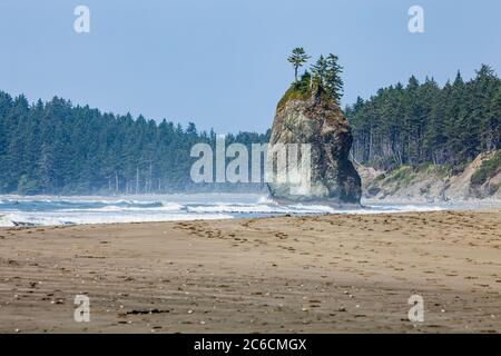 Le littoral accidenté et les bassins de marée de la bande côtière du parc national olympique et du sanctuaire marin national olympique, État de Washington, États-Unis. Banque D'Images