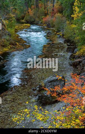 La Gorge Takelma, Rogue River National Wild and Scenic River, Rogue River National Forest, Virginia Banque D'Images