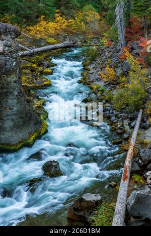 Gorge de Takelma, rivière Rogue National Wild and Scenic, forêt nationale de Rogue River, Oregon Banque D'Images