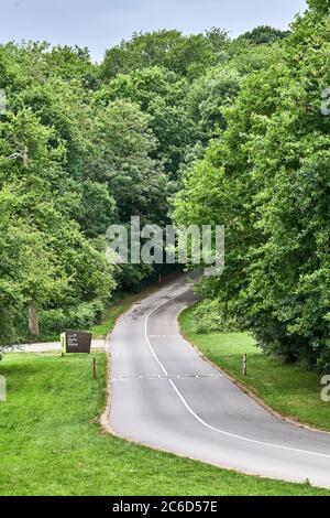 Route vallonnée dans un parc aquatique et un lac désertés de Rutland, en Angleterre, pendant la crise du coronavirus, juillet 2020. Banque D'Images