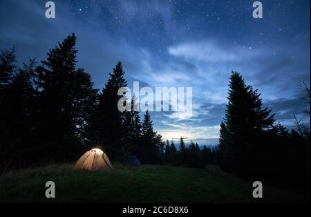 Vue magnifique sur le ciel bleu nuit sur la prairie avec tente de camp éclairée. Paysage fantastique de tente touristique dans la forêt avec des conifères sous le ciel avec des étoiles. Concept de voyage, randonnée Banque D'Images