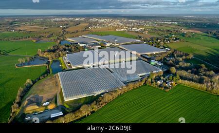 La Chapelle-des-Fougeretz (Bretagne, nord-ouest de la France) : vue aérienne des serres de tomates Tomwest, des tomates Jouno, un site de 17 hectares à un endroit ca Banque D'Images