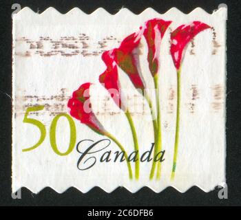 CANADA - VERS 2004 : timbre imprimé par le Canada, présente les lilies de Calla rouge, vers 2004 Banque D'Images