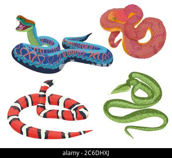 Collection de serpents tropicaux exotiques et colorés à motifs vectoriels isolés Illustration de Vecteur