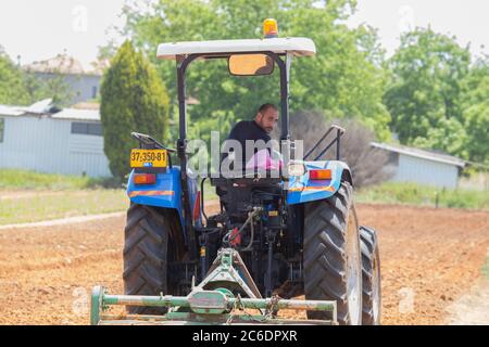 Un agriculteur israélien inspecte ses terres agricoles photographiées à Haniel [un moshav dans le centre d'Israël. Situé dans la plaine de Sharon près de Netanya et Kfar Yona], I Banque D'Images
