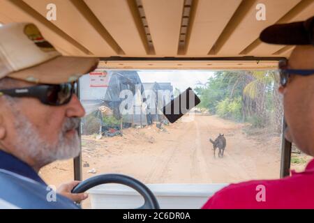 Un agriculteur israélien inspecte ses terres agricoles photographiées à Haniel [un moshav dans le centre d'Israël. Situé dans la plaine de Sharon près de Netanya et Kfar Yona], I Banque D'Images