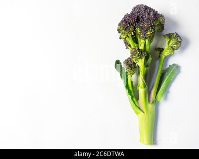 Une tige de brocoli pourpre piquant isolée sur un fond blanc avec un espace de copie Banque D'Images