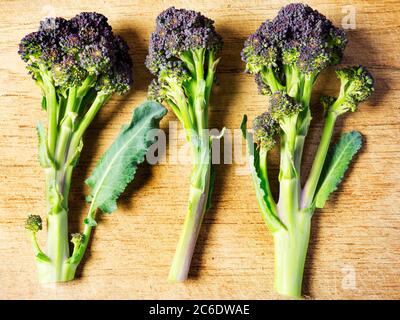 Trois tiges de brocoli pourpre sur une planche à découper en bois Banque D'Images