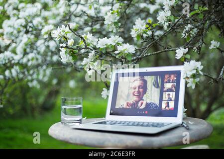 Chat vidéo d'amis sur l'écran d'ordinateur portable sous l'arbre fleuri dans le jardin Banque D'Images