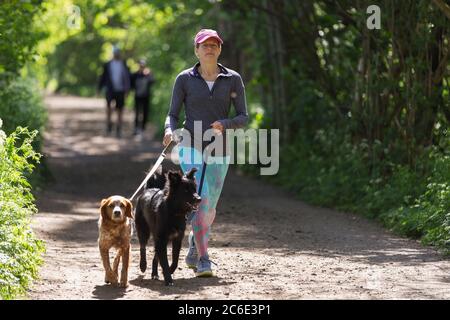 Femme avec des chiens marchant sur un sentier ensoleillé dans le parc Banque D'Images